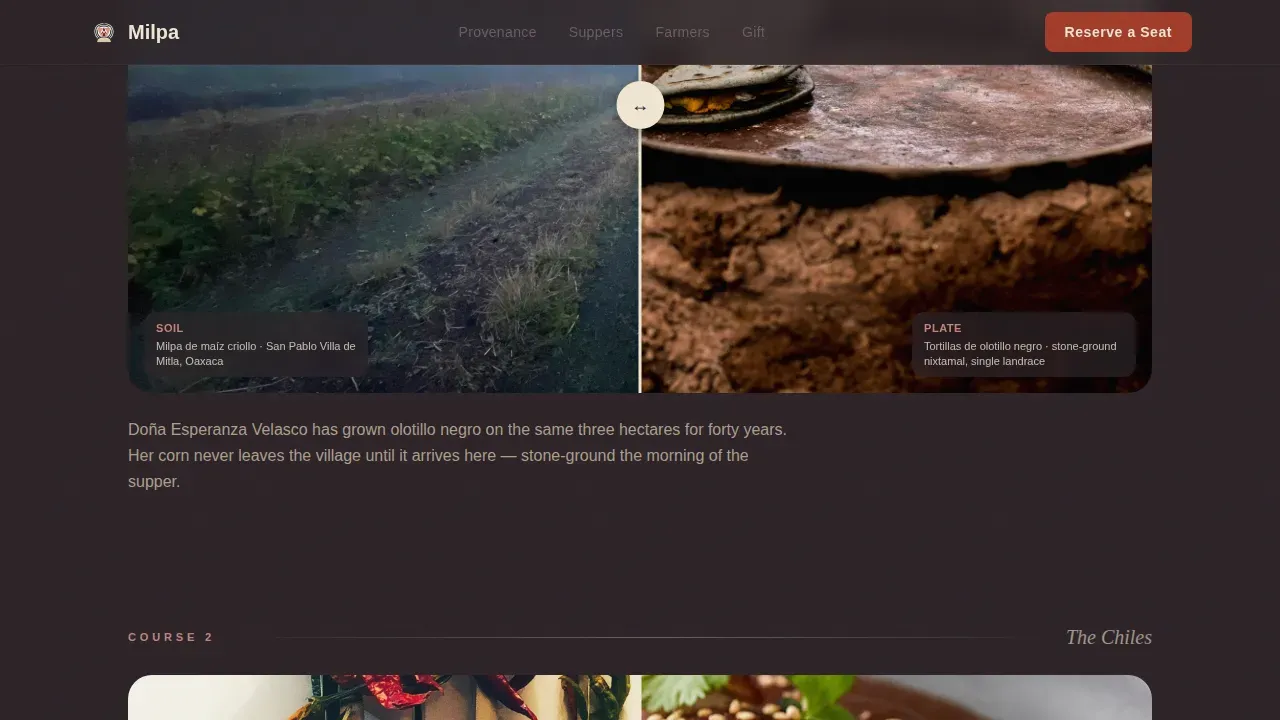 Mexican Dining Professional Website Template