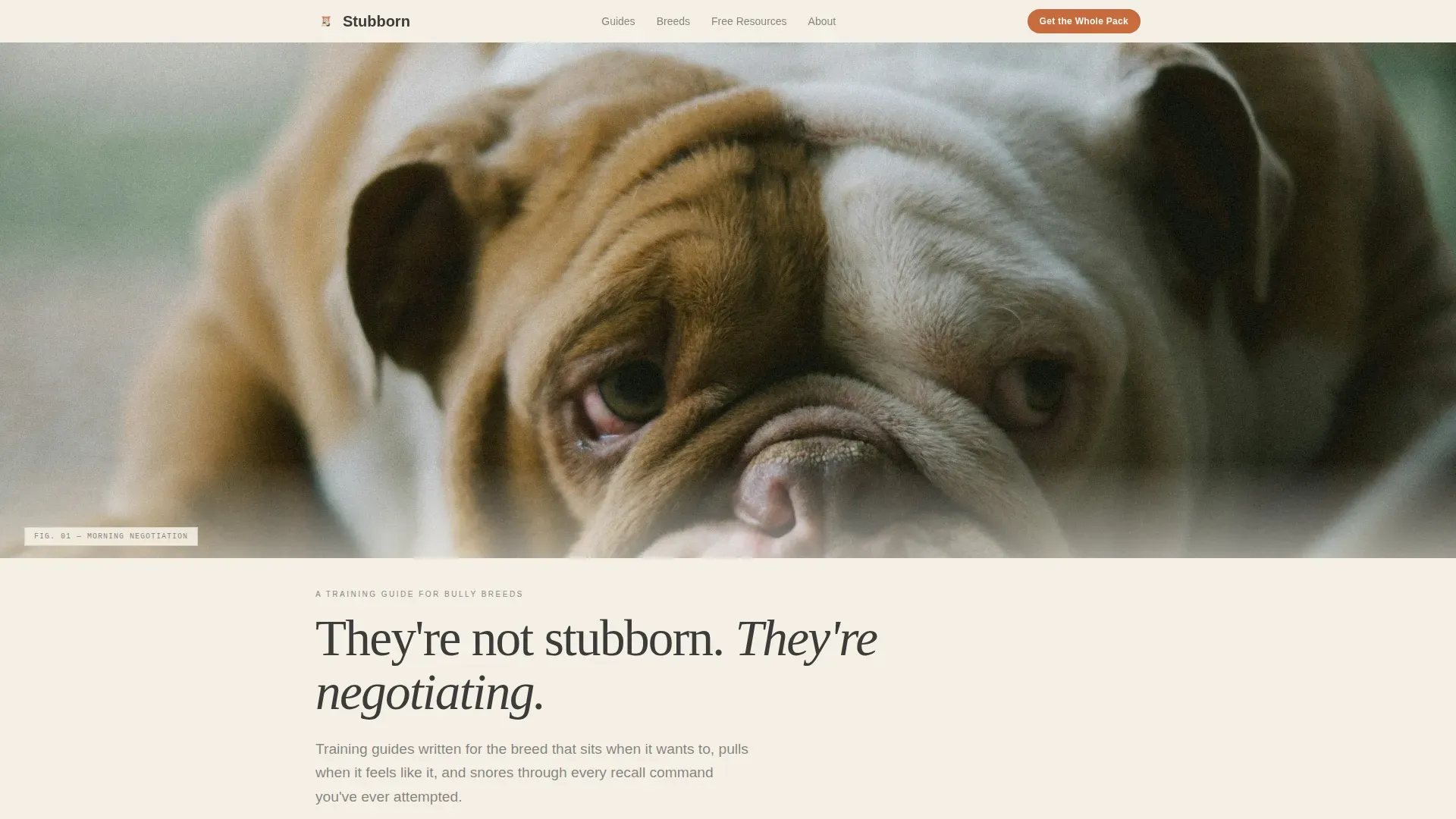 Dog Commercial Professional Website Template
