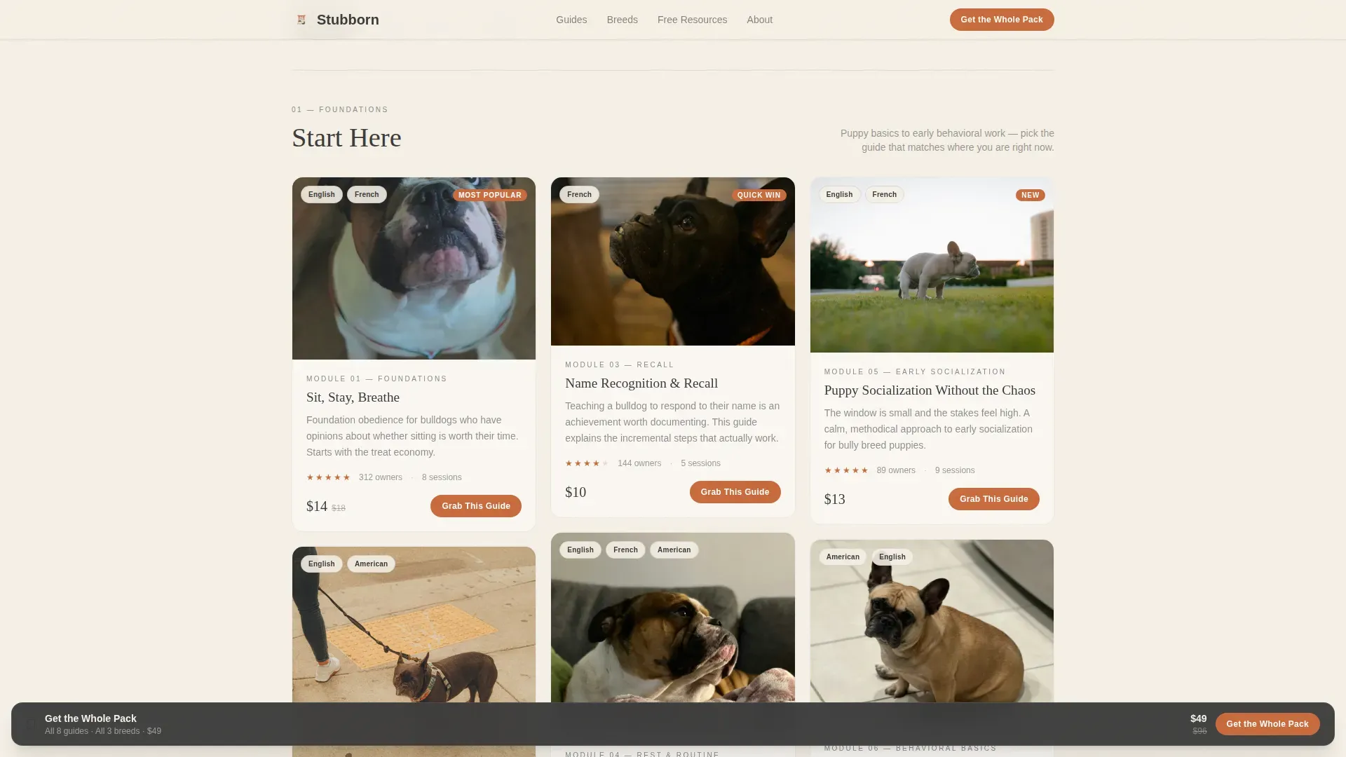 Dog Commercial Professional Website Template