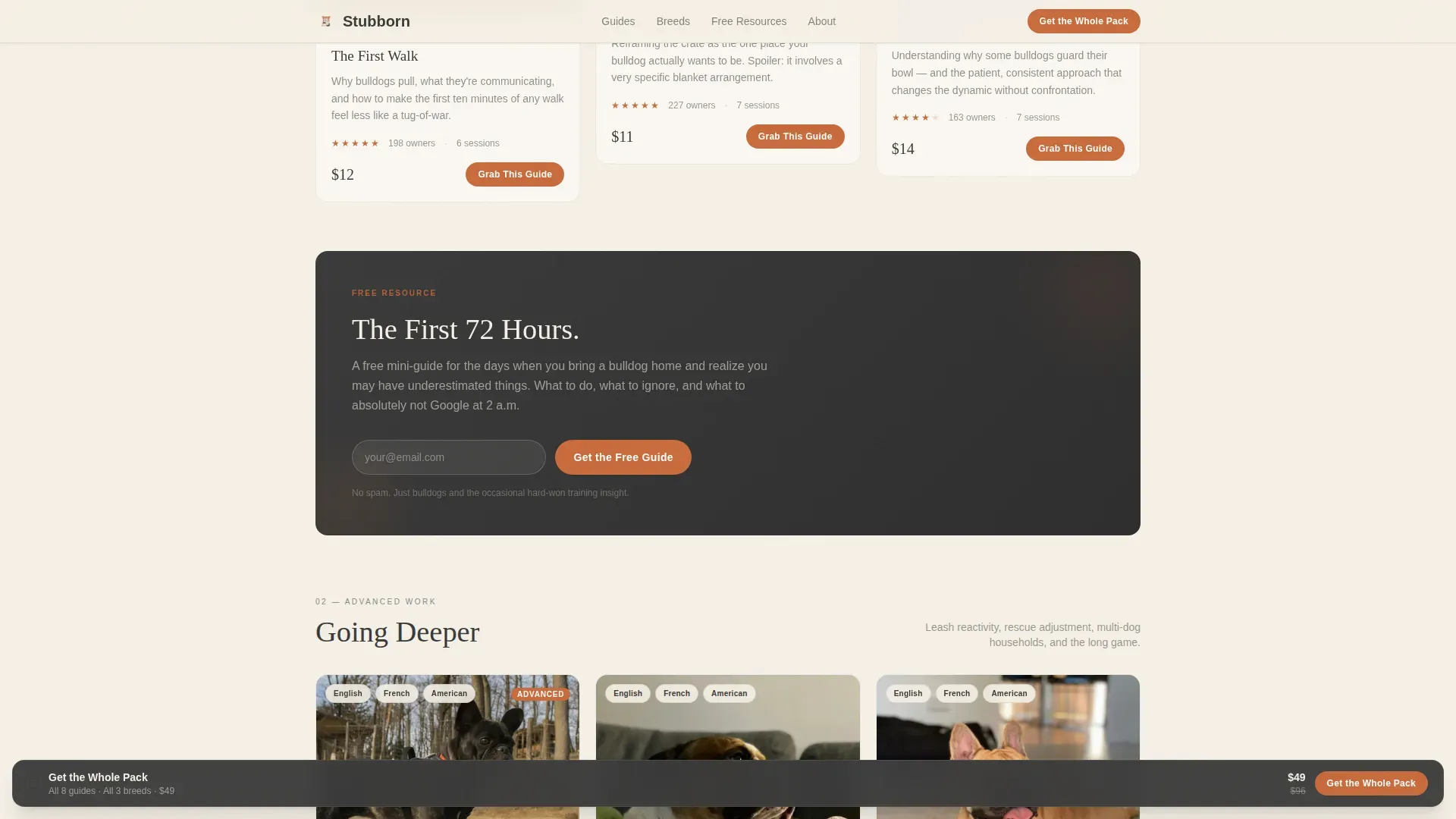 Dog Commercial Professional Website Template