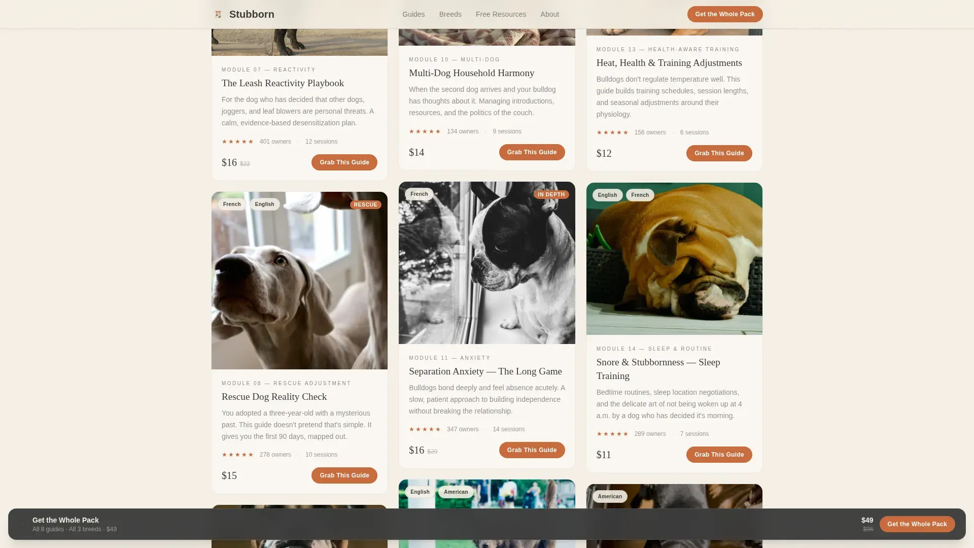 Dog Commercial Professional Website Template
