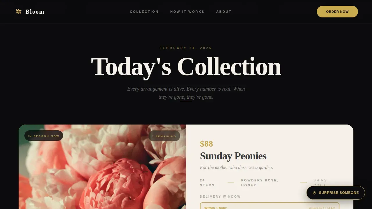 On-Demand Business Professional Website Template