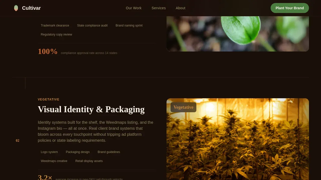 Compliance Cannabis Operations Landing Page Template