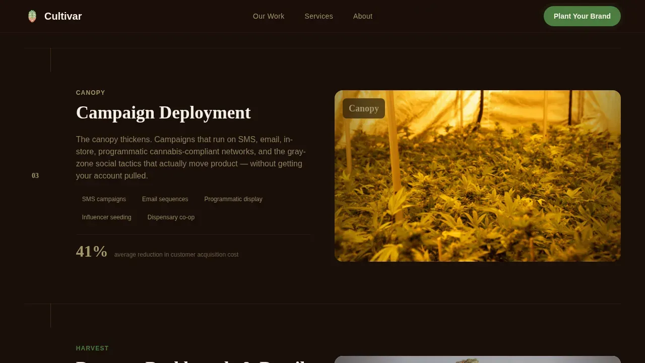 Compliance Cannabis Operations Landing Page Template