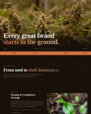 Compliance Cannabis Operations Landing Page Template