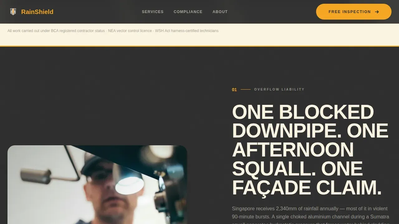 Certified Gutter Protection Landing Page Template