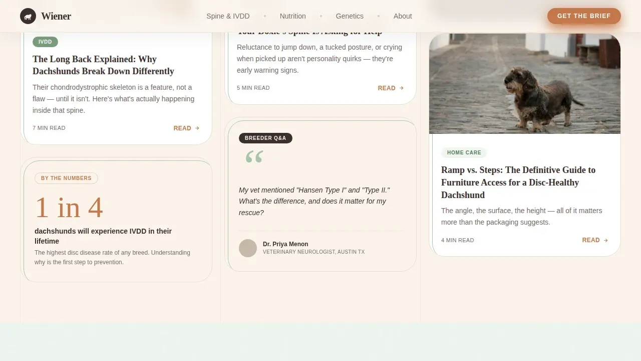 Dog Complete Blog Website Template