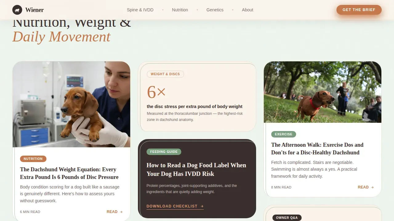 Dog Complete Blog Website Template