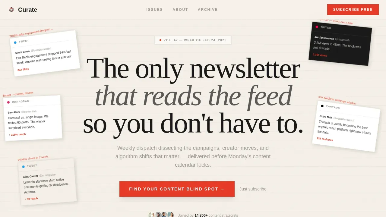 Editorial Creator Spotlight Social Media Newsletter Landing Page