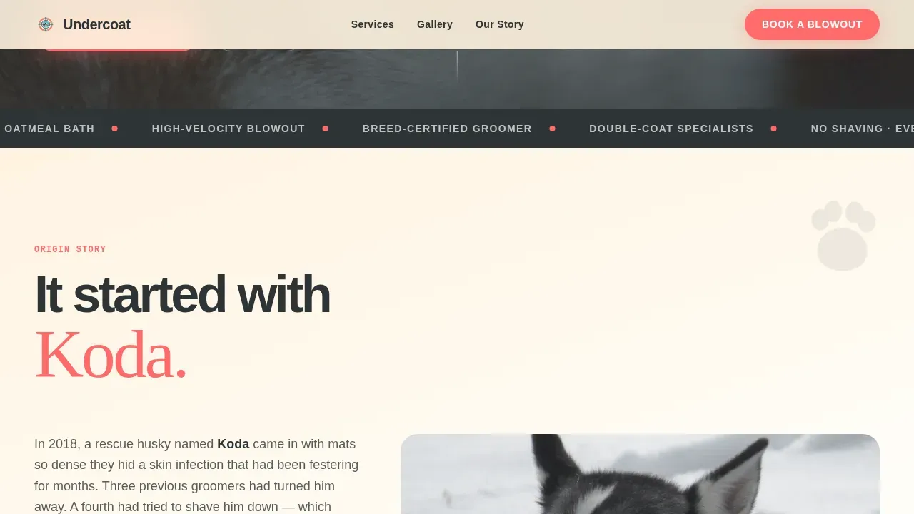 Husky Grooming Specialist Landing Page Template