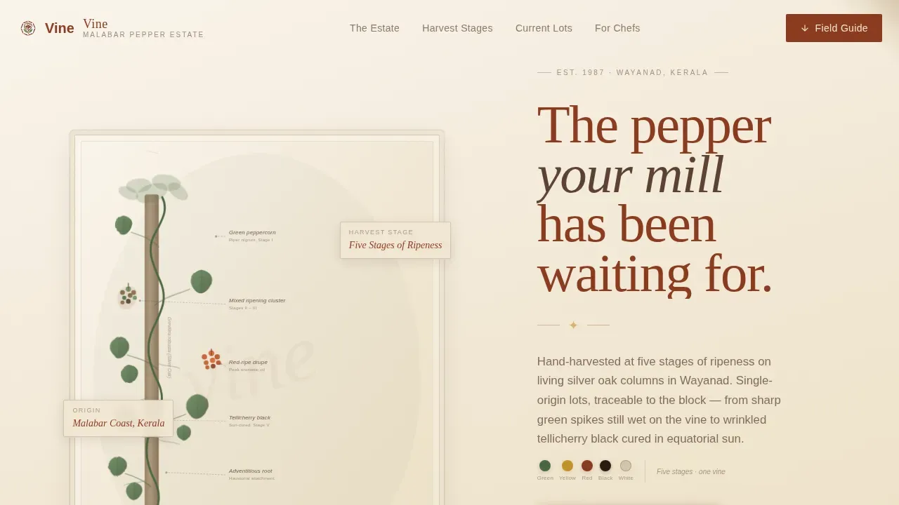 Artisan Spice Grower Landing Page Template
