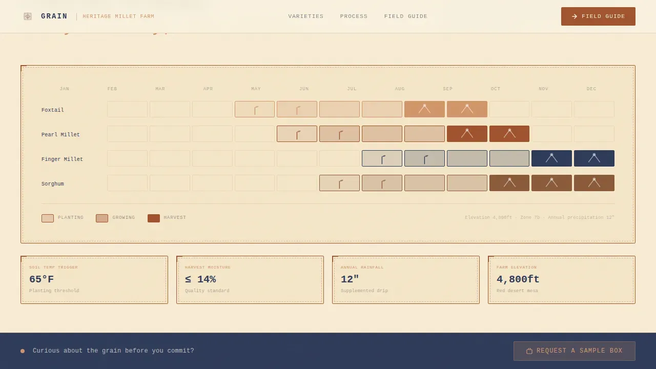 Ancestral Millet Farming Landing Page Template