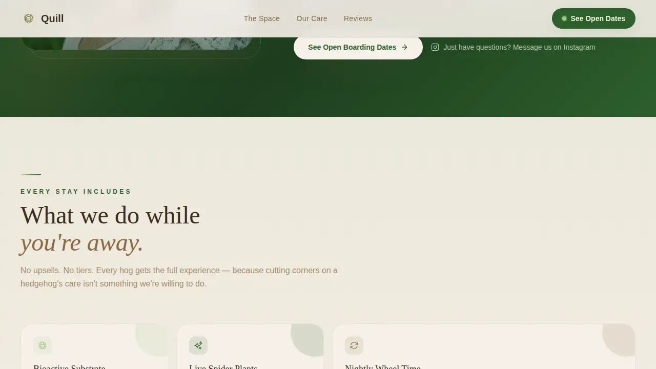 Hedgehog Booking Website Template