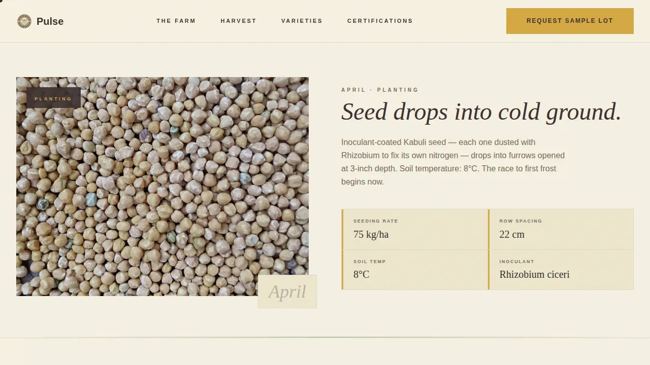 Crop & Grain Farming Professional Website Template