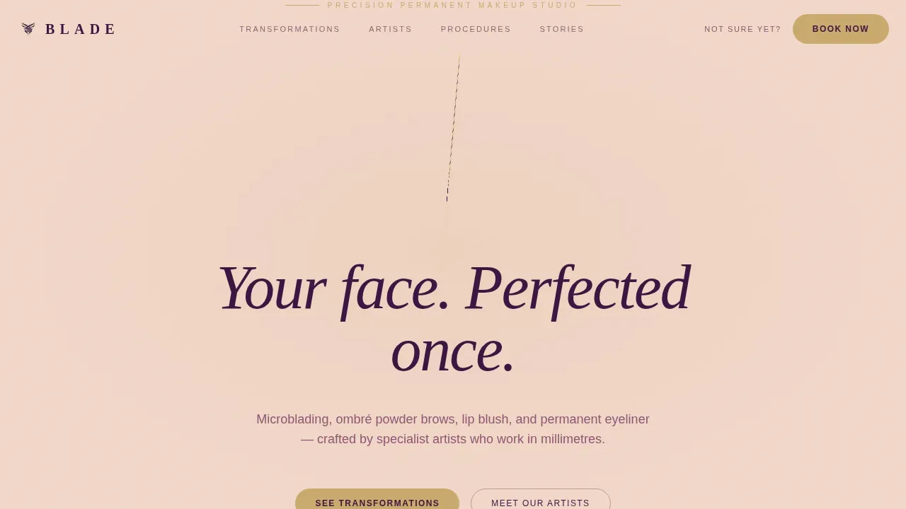 Premium Eyebrow Artist Network Landing Page Template