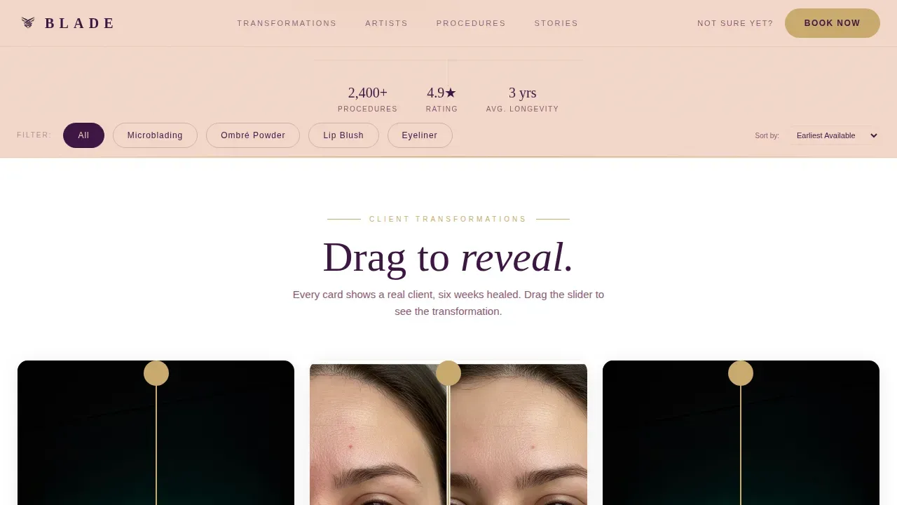 Premium Eyebrow Artist Network Landing Page Template