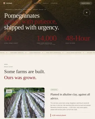 Premium Pomegranate Estate Landing Page Template