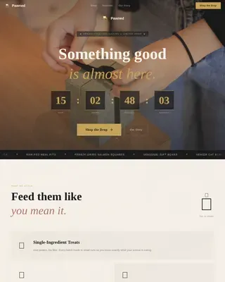 Curated Pet Retail Landing Page Template