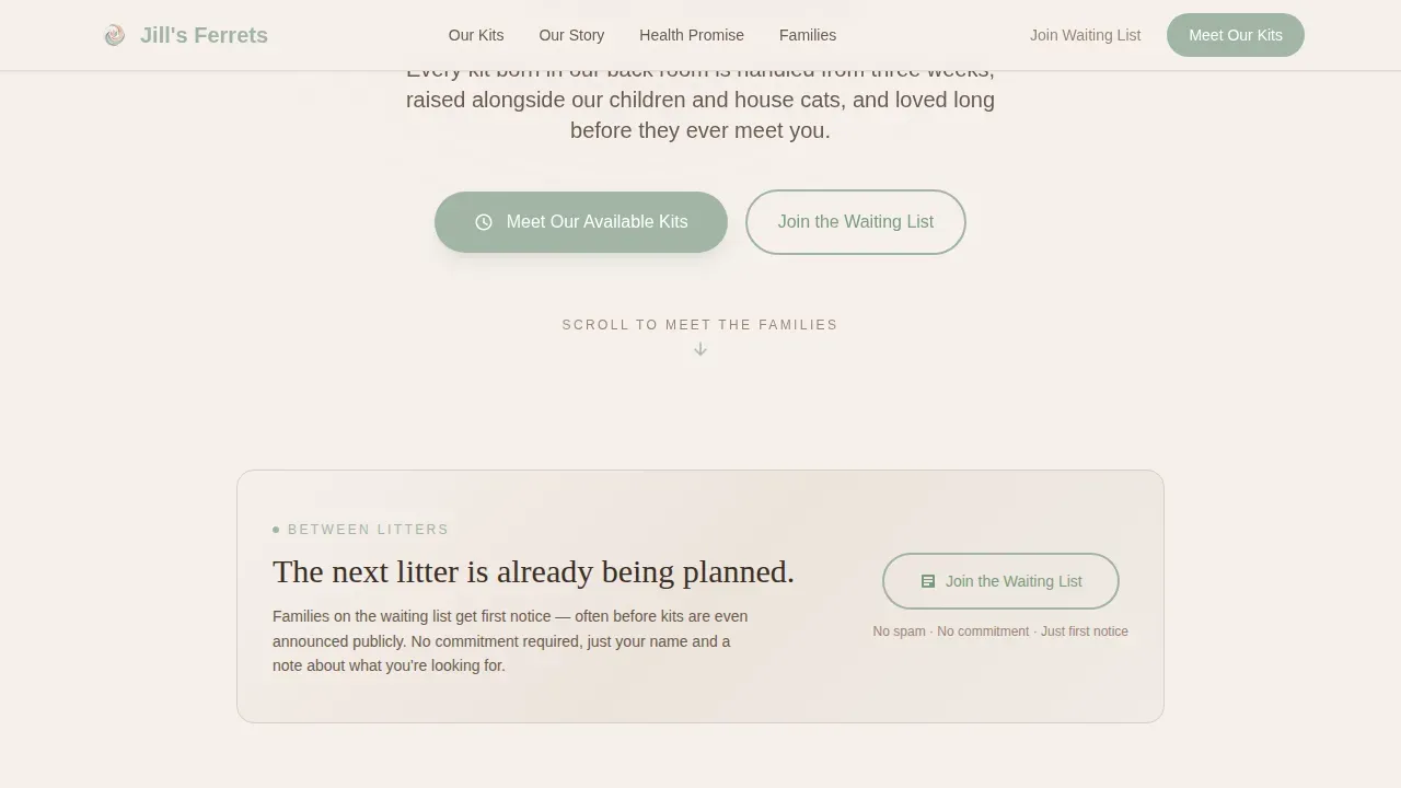 Family First Ferret Breeder Landing Page Template