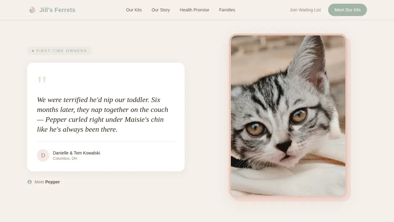 Family First Ferret Breeder Landing Page Template