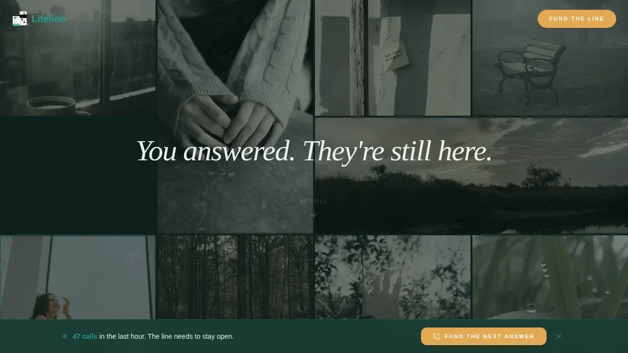 Immediate Crisis Support Landing Page Template
