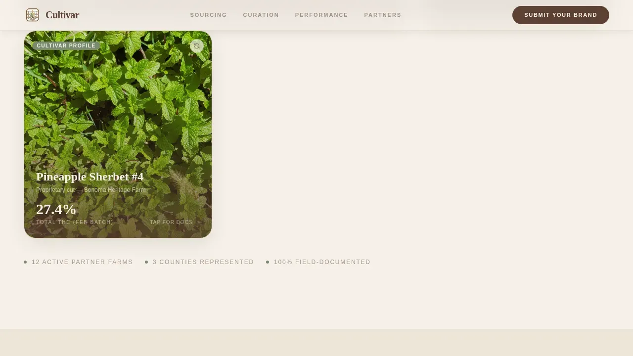 Ethical Cannabis Dispensary Landing Page Template