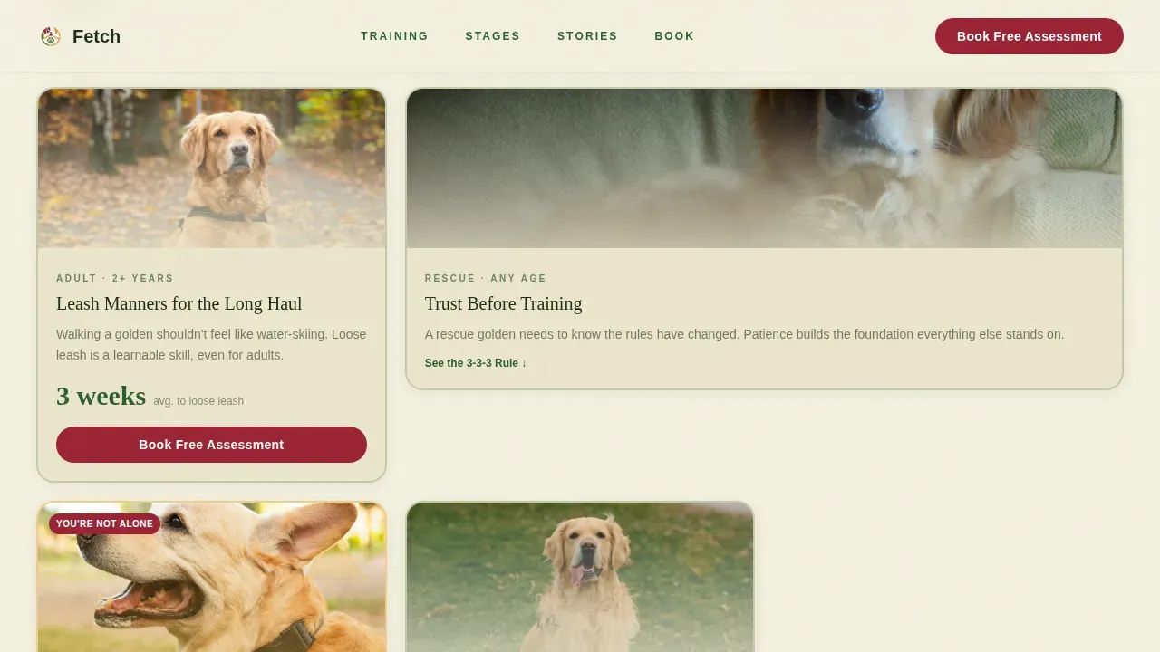 Dog Certified Booking Website Template