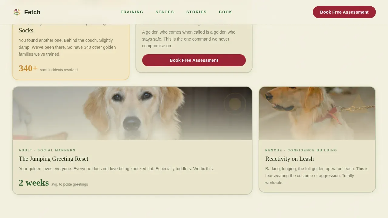 Dog Certified Booking Website Template