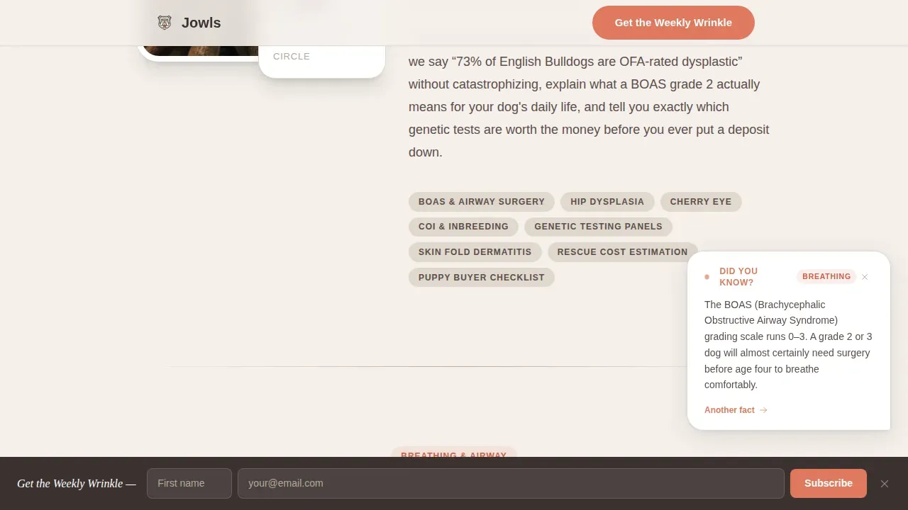 Dog Specialist Blog Website Template