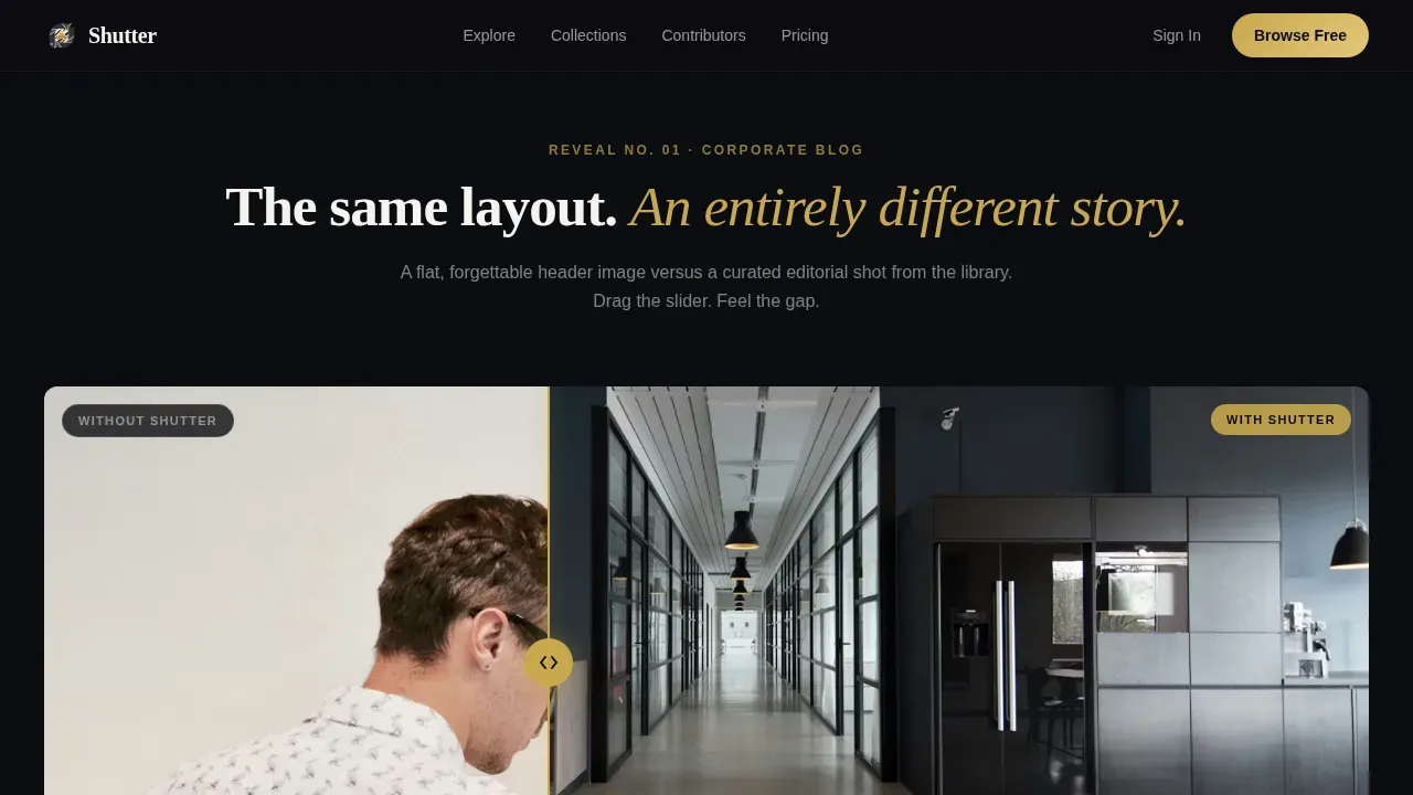 Premium Visual Assets Landing Page Template