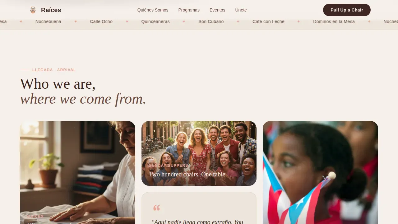 Specialist Latin American Community Professional Website Template