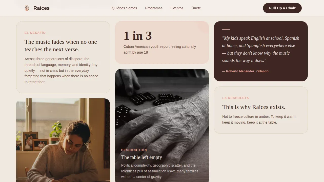 Specialist Latin American Community Professional Website Template