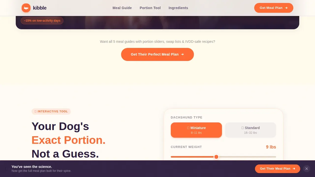 Dog Professional Website Template