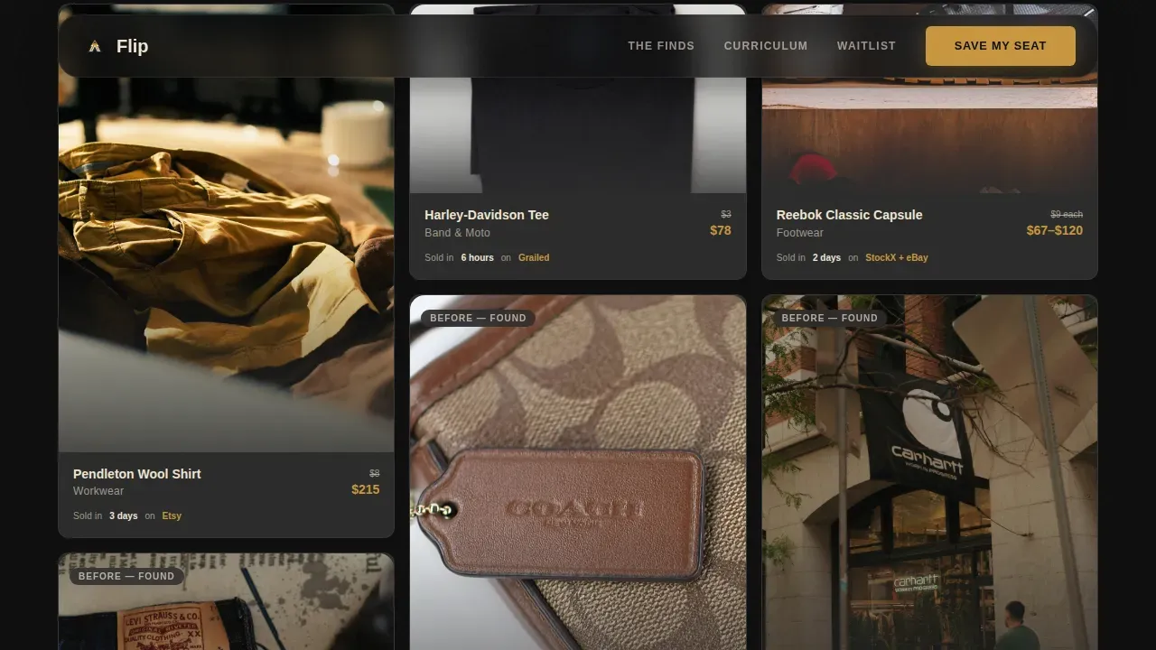 Expert Thrift Flipping Landing Page Template