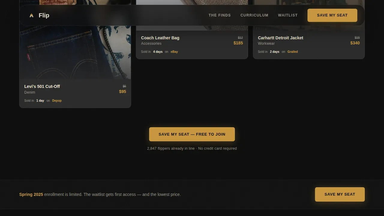 Expert Thrift Flipping Landing Page Template