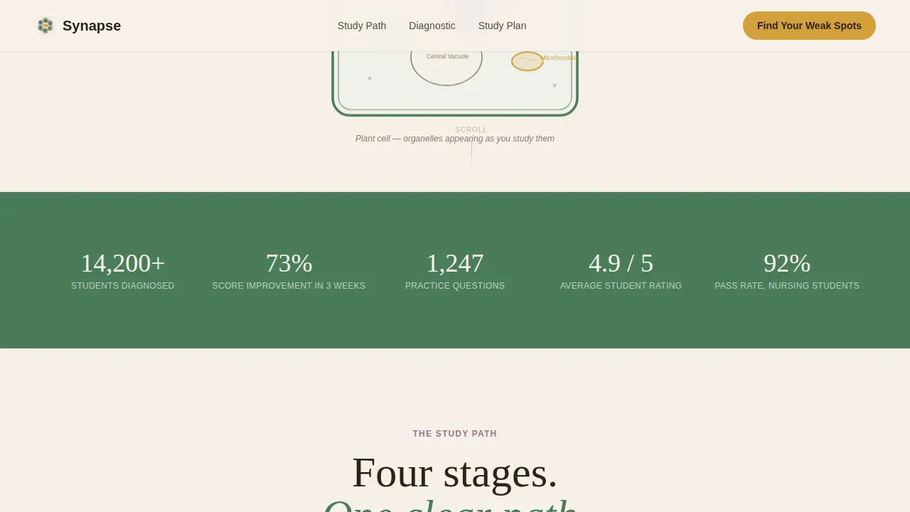 Biology Education Professional Website Template