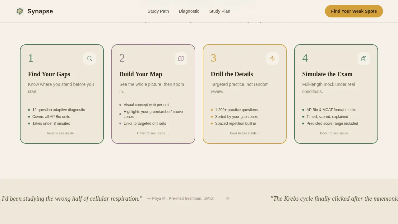 Biology Education Professional Website Template