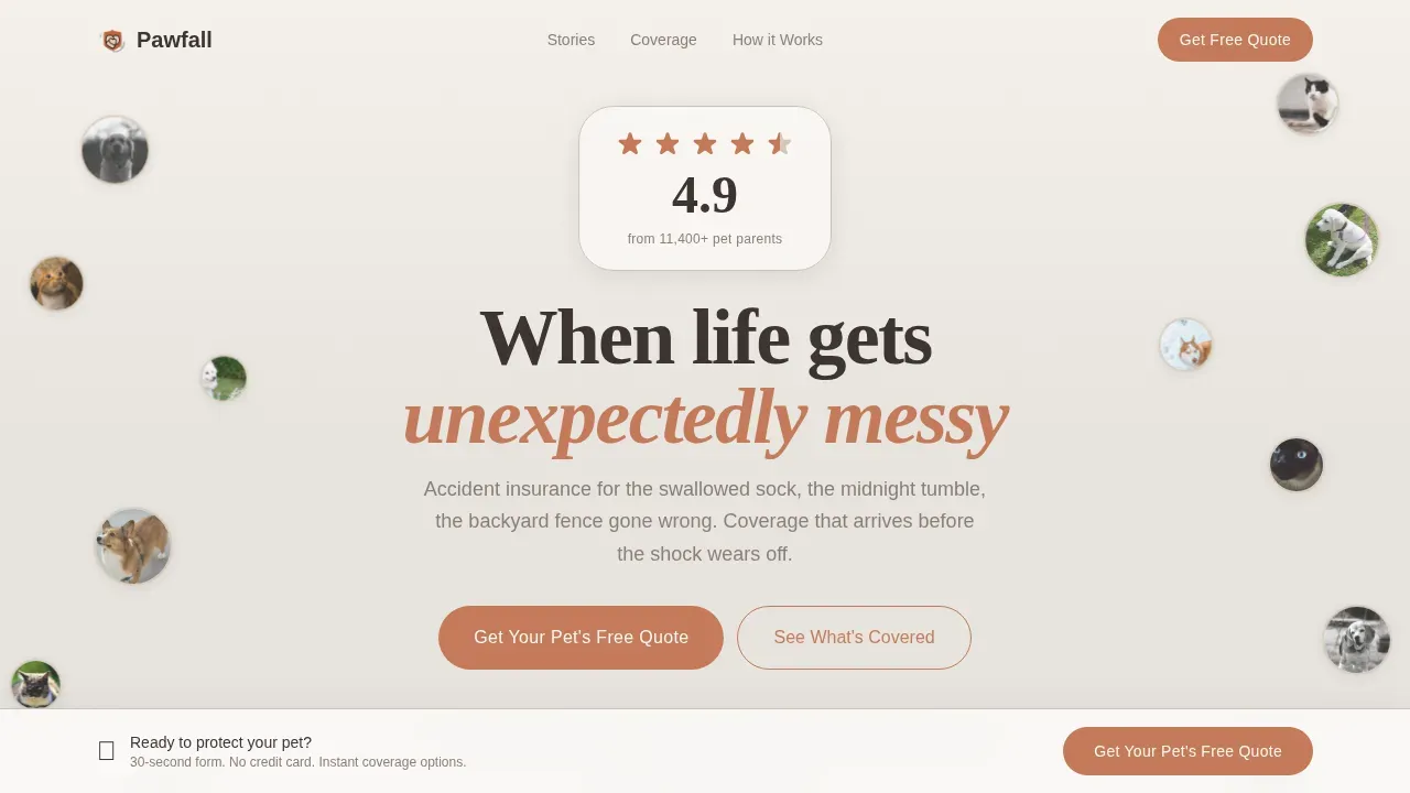 Pet Insurance & Finance Reviews Website Template