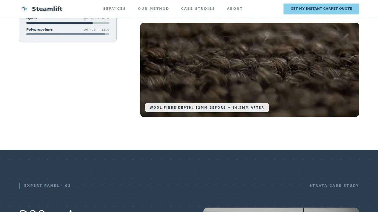 Carpet Restoration | Free Website Template | Rocket