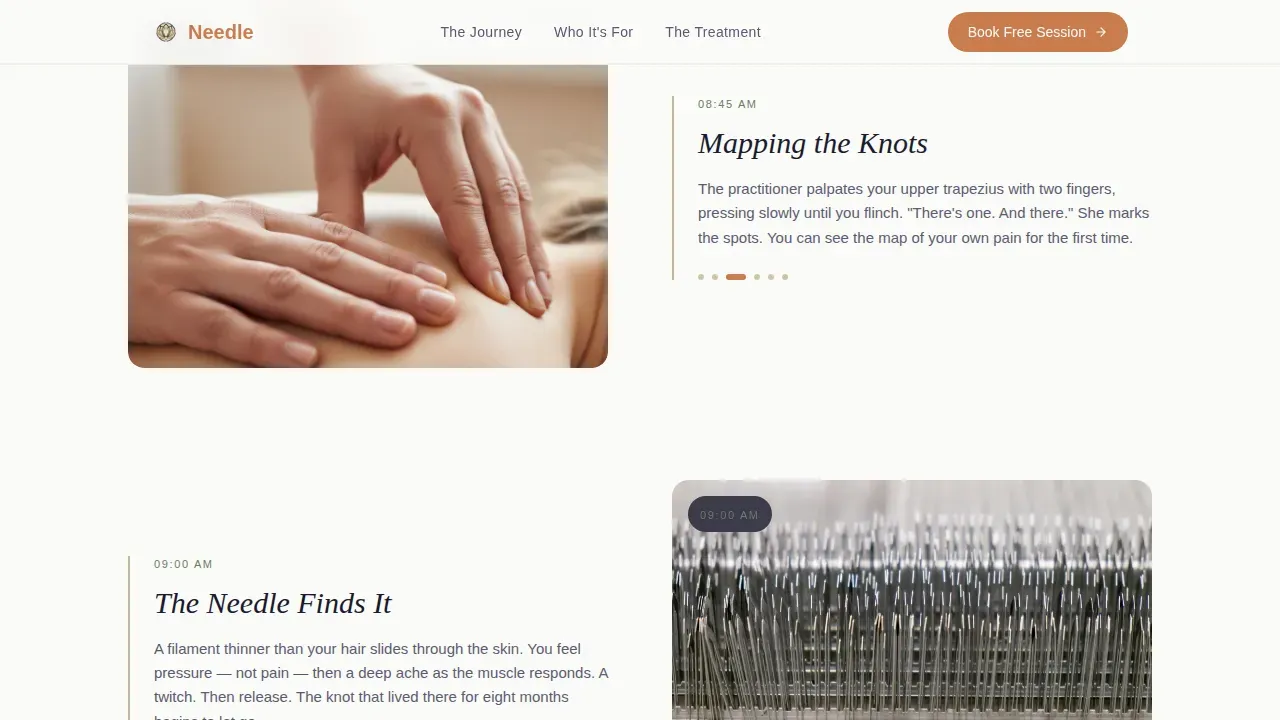 Chiropractor & Physical Therapy Booking Website Template