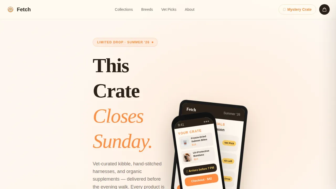 On-Demand Business Professional Website Template