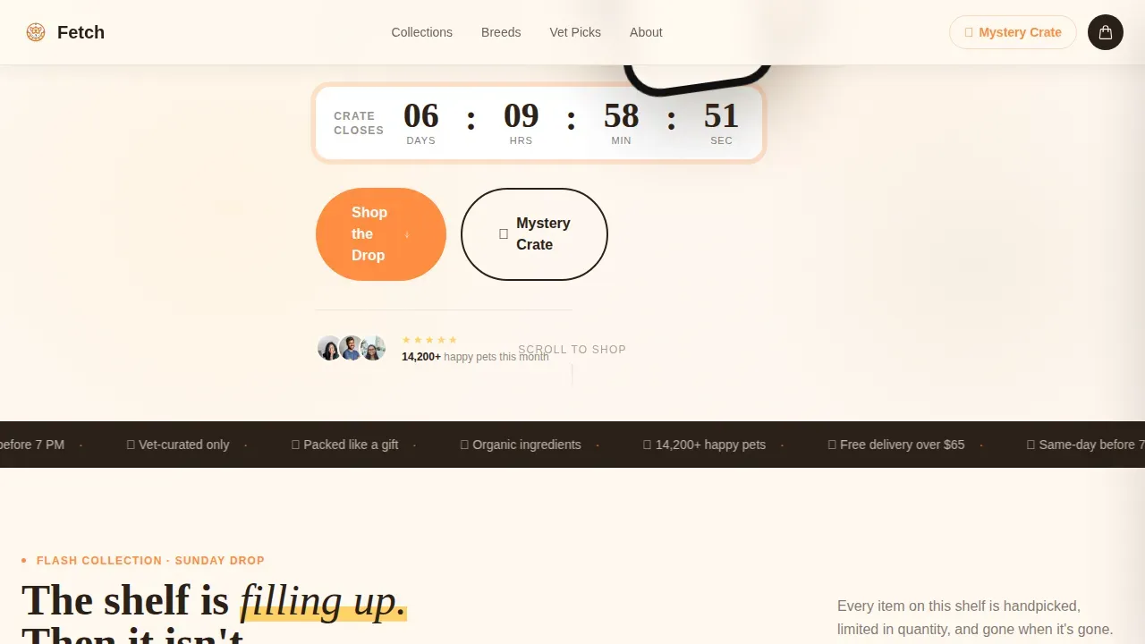 On-Demand Business Professional Website Template