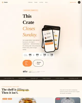 On-Demand Business Professional Website Template
