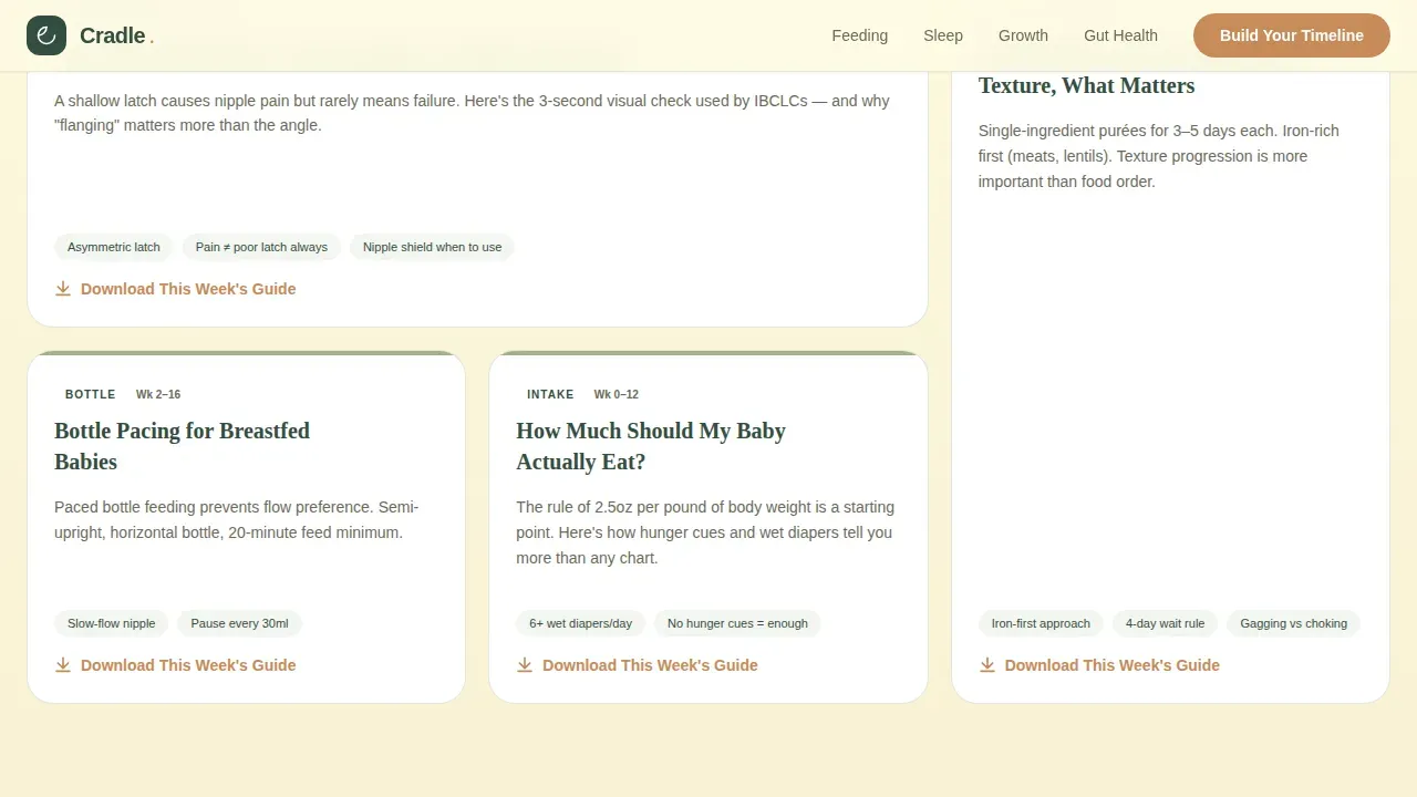 Infant (0-1) Products & Professional Website Template