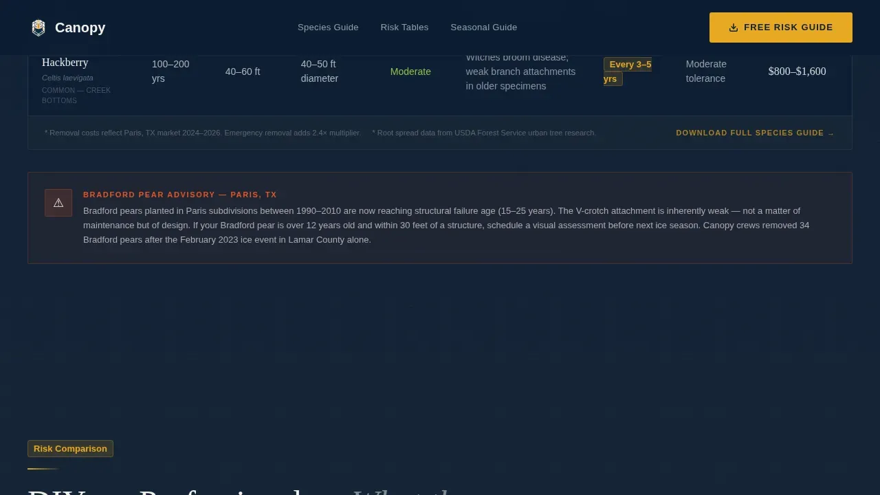 Paris Local Professional Website Template