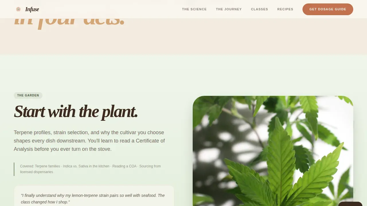 Cannabis Industry Blog Website Template