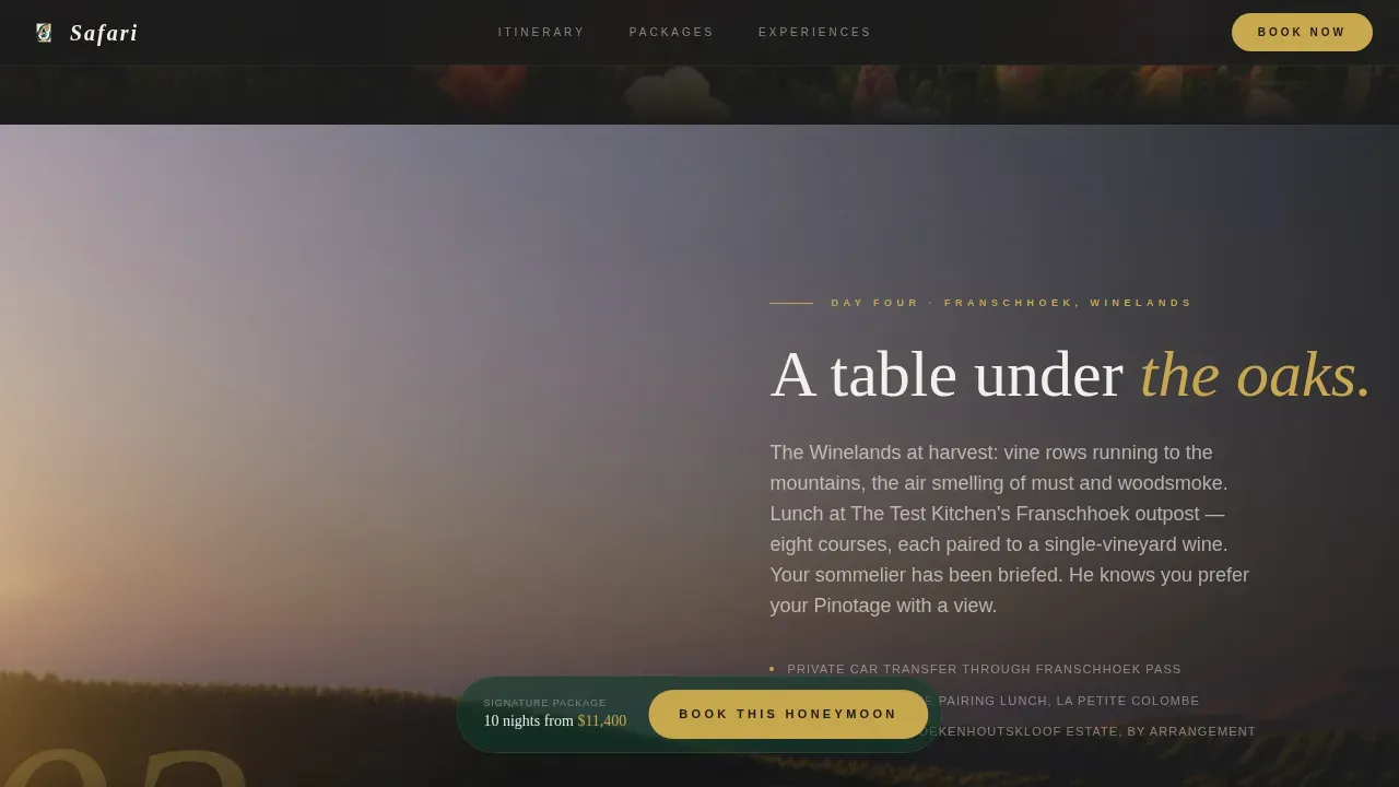 South Africa Travel Booking Website Template