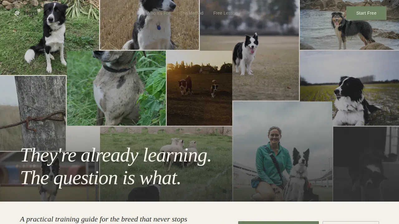 Dog Certified Reviews Website Template