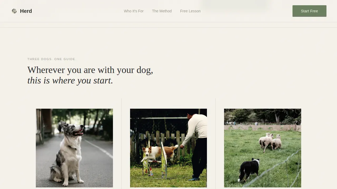 Dog Certified Reviews Website Template