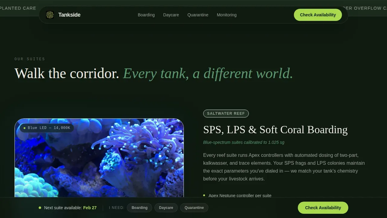 Expert Aquatic Boarding Landing Page Template